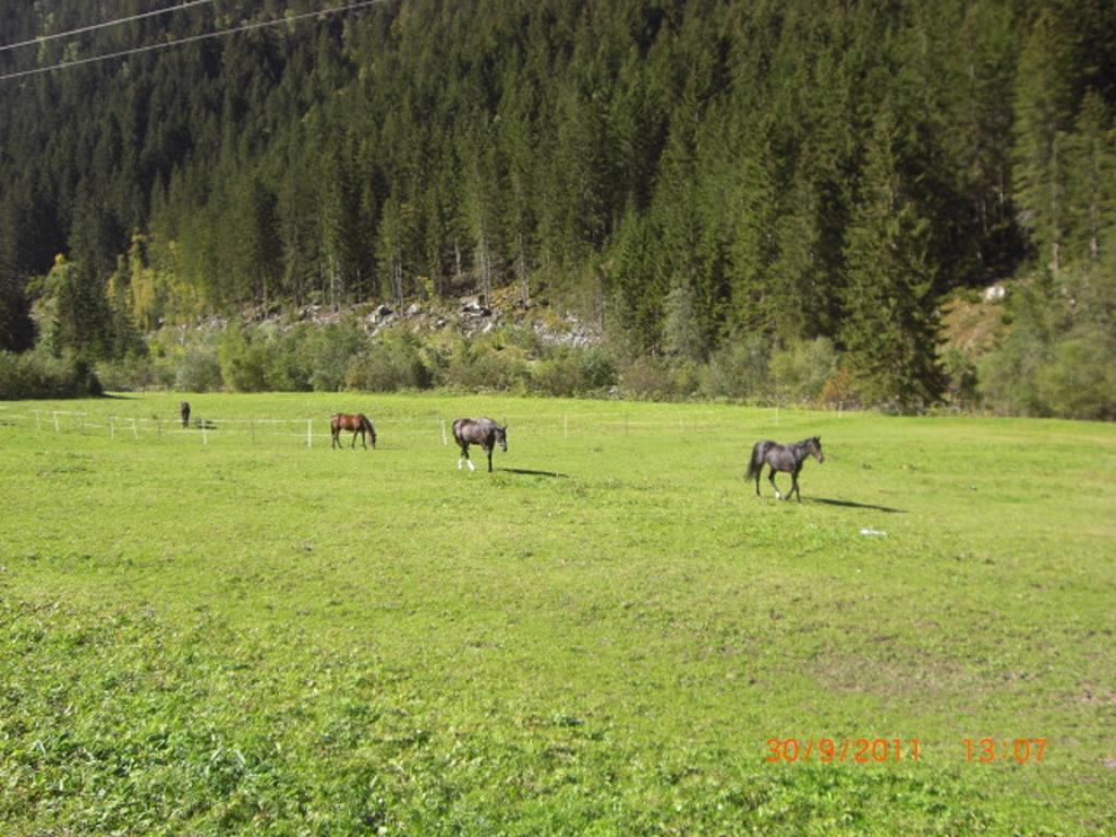 Appartements Fam. Gleinser Mirella Neustift im Stubaital Exteriér fotografie
